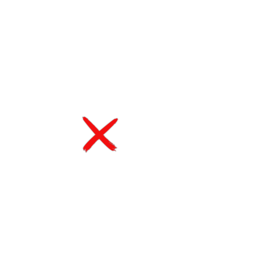 The Dolls'X Gallery